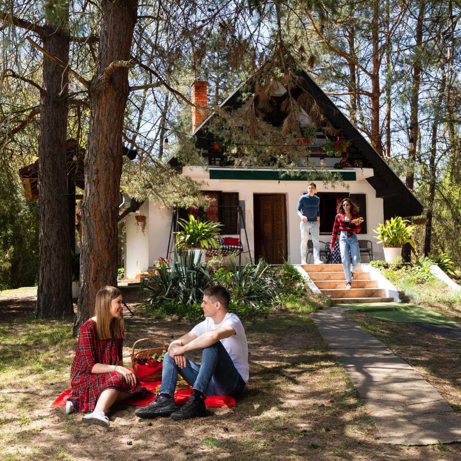 Ladybird Lodge Bela Crkva  Ngoại thất bức ảnh