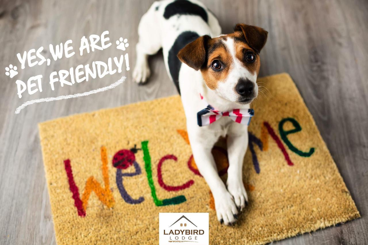 Ladybird Lodge Bela Crkva  Ngoại thất bức ảnh